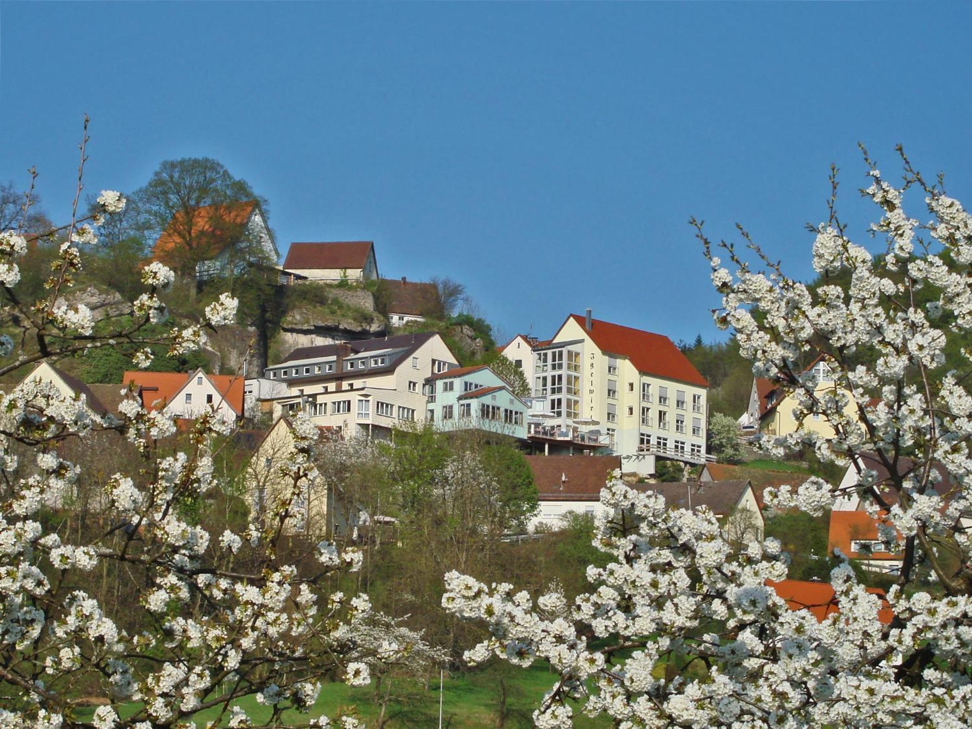 Berggasthof Hotel Igelwirt Schnaittach Exterior photo